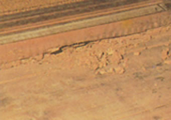 敷居・床板の被害